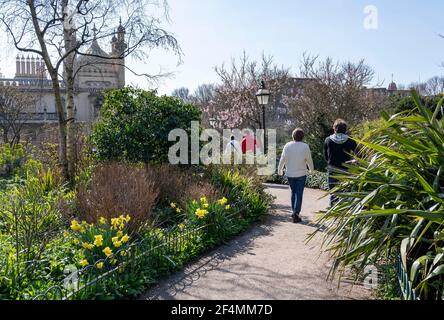 Brighton UK 22 marzo 2021 - i visitatori godono della fioritura nel Padiglione di Brighton's Gardens in bella calda primavera sole, ma molto più freddo tempo è previsto per più tardi nella settimana in tutta la Gran Bretagna: Credit Simon Dack / Alamy Live News Foto Stock