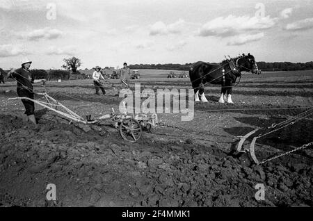 East Kent Ladies Powing Competition with Horses. Due donne che arano campo Foto Stock