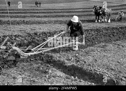 East Kent Ladies Powing Competition with Horses. Donna aratura campo Foto Stock