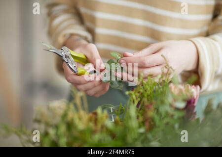 Primo piano di piante da taglio fiorista femminile mentre si organizzano composizioni floreali in officina, spazio di copia Foto Stock