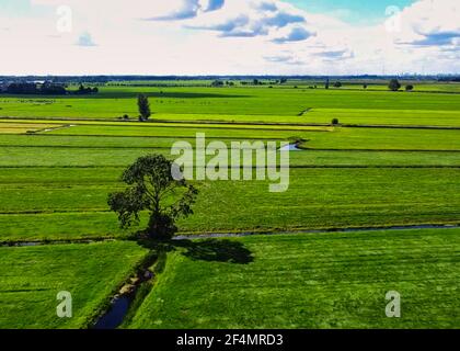 Questa immagine drone del tipico paesaggio olandese è stata scattata la mattina presto vicino a Oud Alblas nei Paesi Bassi. Foto Stock