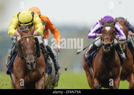 File photo datato 17-10-2020 di Addeybb guidato da Tom Marquand Riding (a sinistra) vincere il campione Qipco Stakes all'Ippodromo di Ascot. Data di emissione: Lunedì 22 marzo 2021. Foto Stock