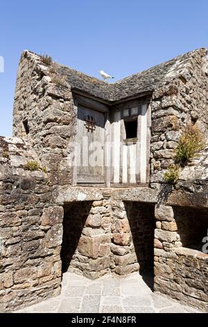 Un gabbiano sui bastioni di Mont Saint Michel, Normandia, Francia Foto Stock