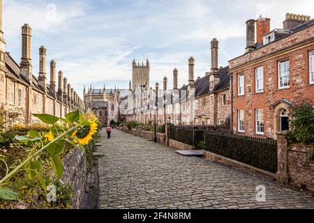 Vicars Vicino nella città cattedrale di Wells, Somerset UK - UNA strada pianificata della metà del XIV secolo. Foto Stock