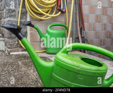 verde annaffiatura lattina stand giardino Foto Stock