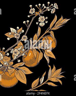 Fiori di mela. Illustrazione di sfondo. Contorno del disegno a mano. Fioritura di piante da giardino. Immagine astratta della pianta. Vettore Illustrazione Vettoriale