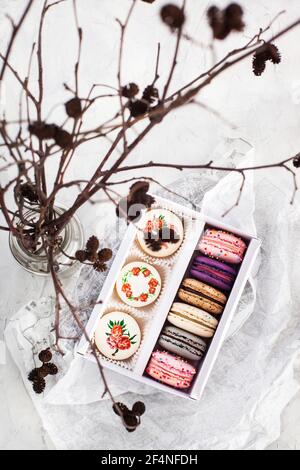 Macaron francesi colorati su sfondo grigio. Colori pastello. Vista dall'alto. Foto Stock