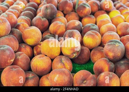 Pile di pesche gialle fresche in vendita al mercato agricolo Foto Stock