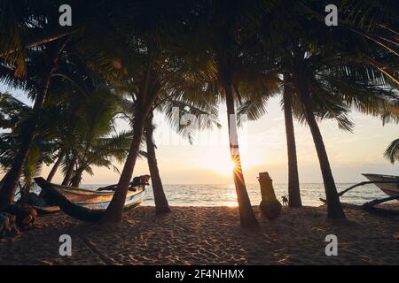 Barche da pesca sulla spiaggia di sabbia sotto palme contro il mare. Alba sopra l'Oceano Indiano a Tangalle, Sri Lanka. Foto Stock