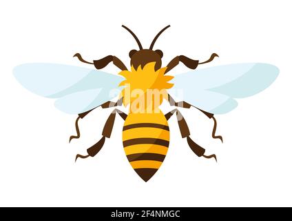 Illustrazione dell'ape stilizzata. Icona per cibo o produzione. Illustrazione Vettoriale