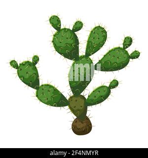 Illustrazione del cactus. Decorativi spiky cactus messicani. Illustrazione Vettoriale