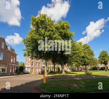 Vista sul grande paesaggio con case e auto parcheggiate Dalla via Kleverparkweg Foto Stock