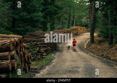 Uomo con cane che corre nella Riserva Naturale locale di Trinity Hill, Devon Foto Stock