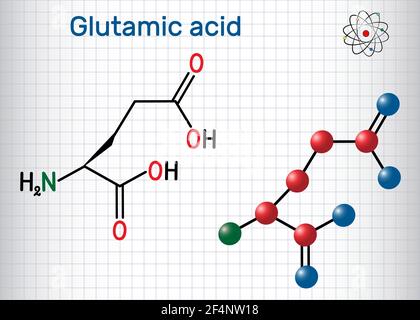 Acido glutammico (acido L-glutammico, Glu, e) molecola di amminoacido alifatico. Foglio di carta in gabbia. Formula chimica strutturale e modello molecolare. Vect Illustrazione Vettoriale