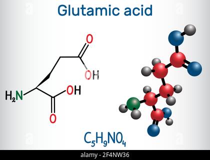 Acido glutammico (acido L-glutammico, Glu, e) molecola di amminoacido alifatico. Formula chimica strutturale e modello molecolare Illustrazione Vettoriale