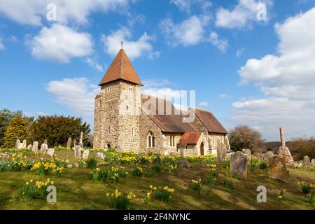 Narcisi primaverili alla chiesa di St Laurence, Guestling, East Sussex, Regno Unito. Chiesa normanna. Foto Stock