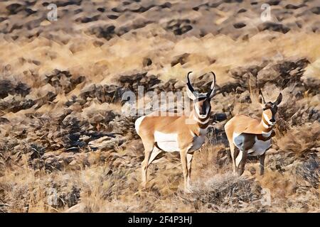 Nord America, Wyoming. Il pronghorn americano (Antilocapra americana) il mammifero più veloce dell'emisfero occidentale. Arte digitale Foto Stock