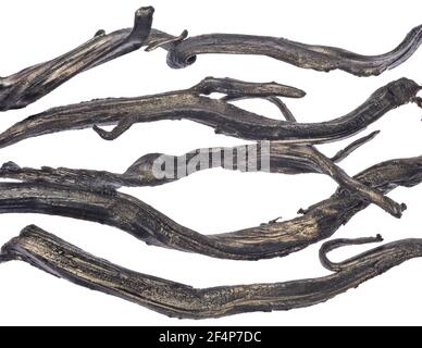 Il disprosio è un elemento chimico con il simbolo Dy e il numero atomico 66. Foto Stock