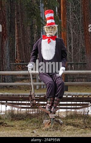 Una versione fatta in casa del gatto del Dr. Seuss nel personaggio Hat, eretto in un campo vicino a Sisters, Oregon. Foto Stock