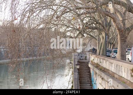 Roma. Italia. Primavera 2020. Argini romani primaverili. I rami di platani si piegano sul fiume Tevere Foto Stock