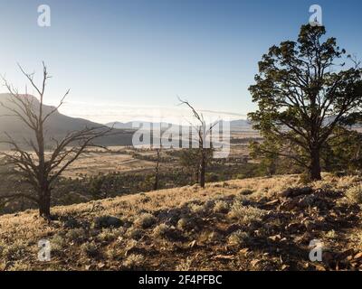 Alba su Rawnsley Bluff (960 m), Flinders Ranges, Australia del Sud Foto Stock