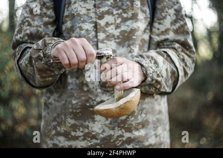 Il picker taglia la gamba del fungo. Raccolta di funghi nella foresta. Mani di uomini con funghi. Testa marrone boletus. Messa a fuoco selettiva. Foto Stock
