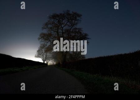Una strada spotosa che va in lontananza nella campagna inglese. In una notte di inverni nebbiosa. Foto Stock