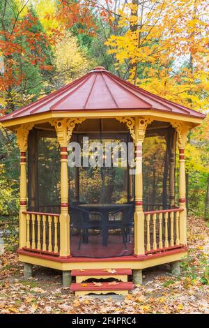 Vecchio gazebo con finitura gialla e rossa con cuciture rosse in piedi tetto in lamiera in cortile residenziale in autunno Foto Stock