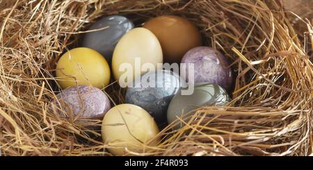 Composizione pasquale - uova pasquali colorate dipinte con coloranti naturali in un nido di fieno, bandiera orizzontale Foto Stock