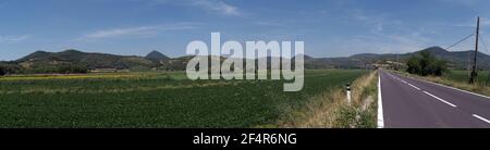 Paesaggio di Colli Euganei con campi di girasole. Padova. Italia Foto Stock
