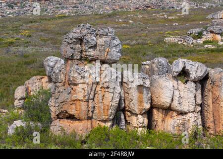 Formazione rocciosa nel Cedarberg vicino a Clanwilliam nel capo occidentale del Sud Africa Foto Stock