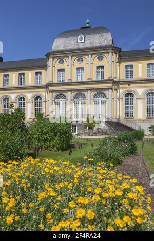 Geografia / viaggio, Germania, Nord Reno-Westfalia, Bonn, giardino botanico del Renish Friedrich-W, diritti aggiuntivi-clearance-Info-non-disponibile Foto Stock