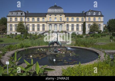 Geografia / viaggio, Germania, Nord Reno-Westfalia, Bonn, giardino botanico del Renish Friedrich-W, diritti aggiuntivi-clearance-Info-non-disponibile Foto Stock