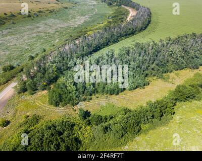 Campi verdi e gialli dall'alto. Foto Stock