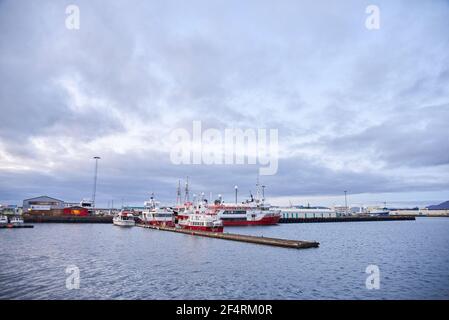 Reykjavik, Islanda - 16 ottobre 2016: Molte barche e navi diverse nel porto della città Foto Stock