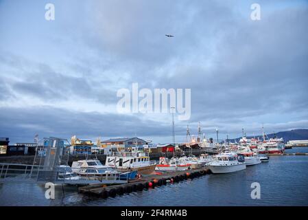 Reykjavik, Islanda - 16 ottobre 2016: Molte barche e navi diverse nel porto della città Foto Stock