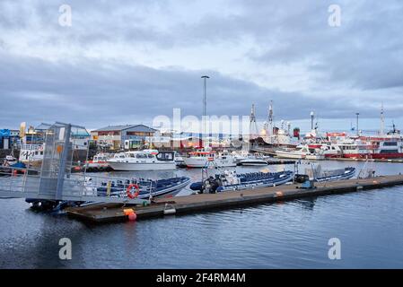 Reykjavik, Islanda - 16 ottobre 2016: Molte barche e navi diverse nel porto della città Foto Stock