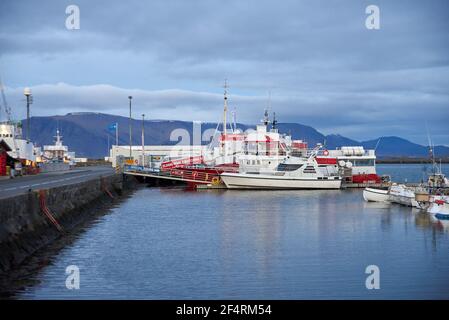 Reykjavik, Islanda - 16 ottobre 2016: Molte barche e navi diverse nel porto della città Foto Stock