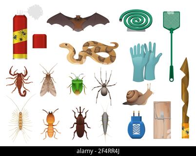 Agricolo, pesti della casa e insetti controllano le icone. Serpente, pipistrello e scorpione, bug pupello, ragno e lumaca, centipede, termite e dolcetto, swatt Illustrazione Vettoriale