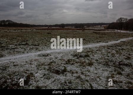 Temperature gelide a Richmond Park, West London mentre un fronte freddo scorre attraverso il Regno Unito con acquazzoni di neve e gelate, Inghilterra, Regno Unito Foto Stock