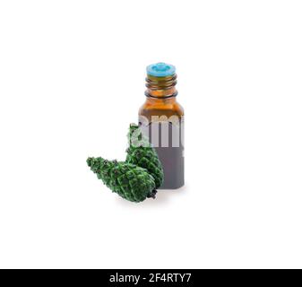 Una bottiglia con olio essenziale di abete. Diramazione ago in abete rosso con cono. Aromaterapia, profumeria, cosmetici. Olio essenziale abete isolato su bac bianco Foto Stock