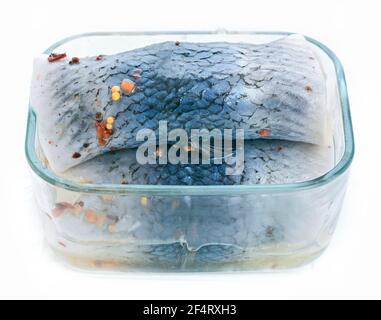 Aringhe dell'Atlantico salate in salamoia piccante Foto Stock