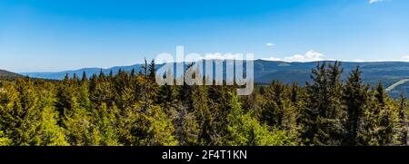 Alti alberi con panorama delle montagne Jizery visto dall'alto rocce Foto Stock