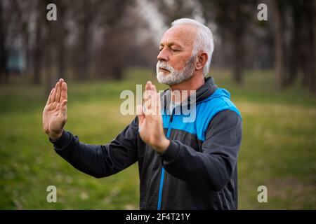 L'uomo anziano sta praticando l'esercitazione del chi del Tai nel parco. Foto Stock