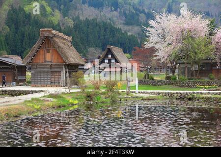 Villaggio di Shirakawa-go, Giappone. Caratteristico villaggio con case in legno e tetti in paglia, patrimonio dell'umanità dell'UNESCO. Foto Stock