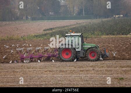 VENEZIA, ITALIA - 14 NOVEMBRE 2020: Un agricoltore con il suo trattore arava il terreno alla fine della stagione autunnale per prepararlo alla piantagione primaverile Foto Stock