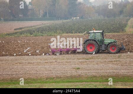 VENEZIA, ITALIA - 14 NOVEMBRE 2020: Un agricoltore con il suo trattore arava il terreno alla fine della stagione autunnale per prepararlo alla piantagione primaverile Foto Stock