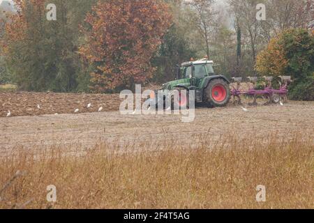 VENEZIA, ITALIA - 14 NOVEMBRE 2020: Un agricoltore con il suo trattore arava il terreno alla fine della stagione autunnale per prepararlo alla piantagione primaverile Foto Stock