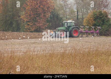 VENEZIA, ITALIA - 14 NOVEMBRE 2020: Un agricoltore con il suo trattore arava il terreno alla fine della stagione autunnale per prepararlo alla piantagione primaverile Foto Stock