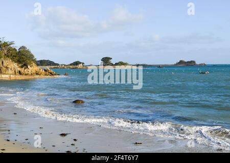 Stagcape alla baia di Port-Blanc in Bretagna, Francia Foto Stock